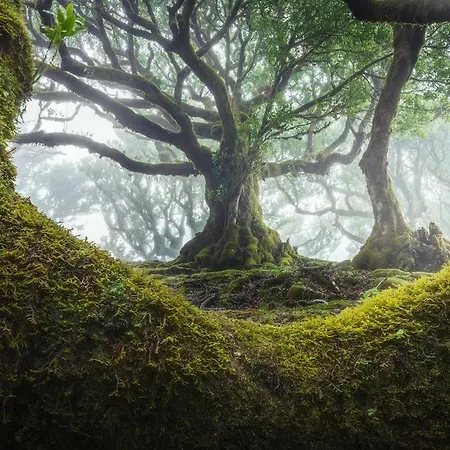 Сasa de vacaciones Atouguia House - Traditional House *