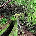 Atouguia House - Traditional House Prázdninový dům Calheta (Madeira)