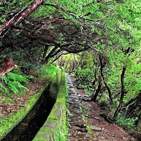 Atouguia House - Traditional House Ferienhaus Calheta (Madeira)