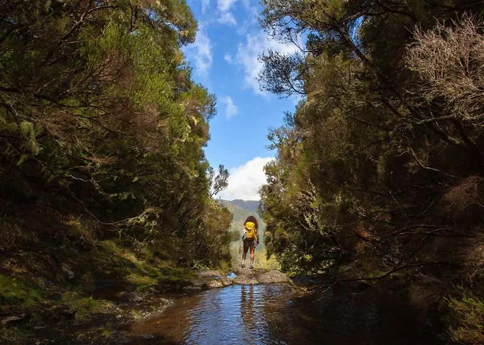 Atouguia House - Traditional House Casa vacanze *