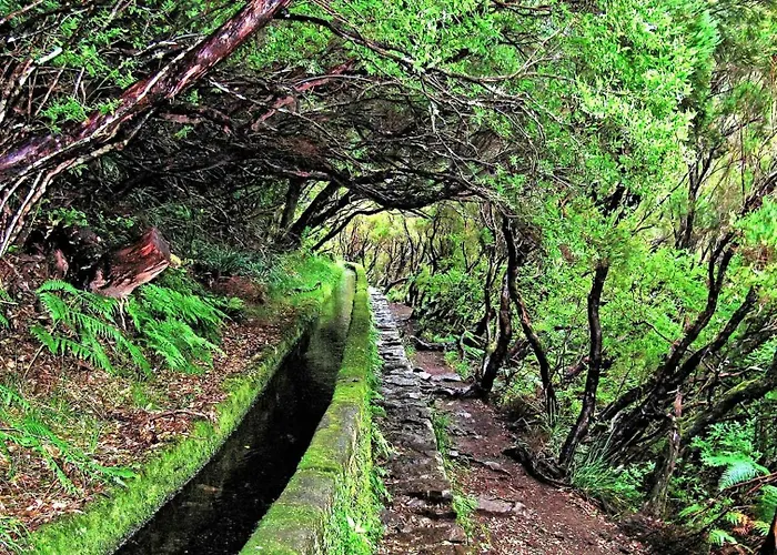 Atouguia House - Traditional House Feriehus Calheta (Madeira)